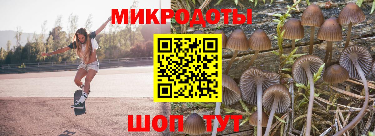 Спасск-Дальний  Галлюциногенные грибы Psilocybe  Вход с VPN 