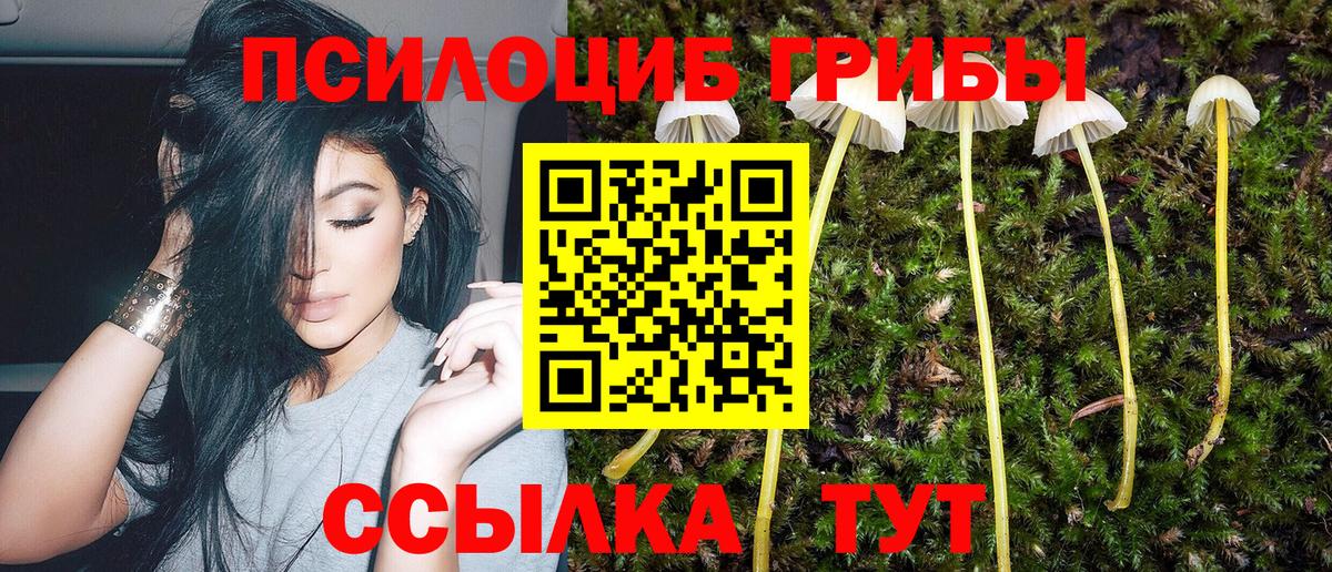 Галлюциногенные грибы GOLDEN TEACHER Спасск-Дальний