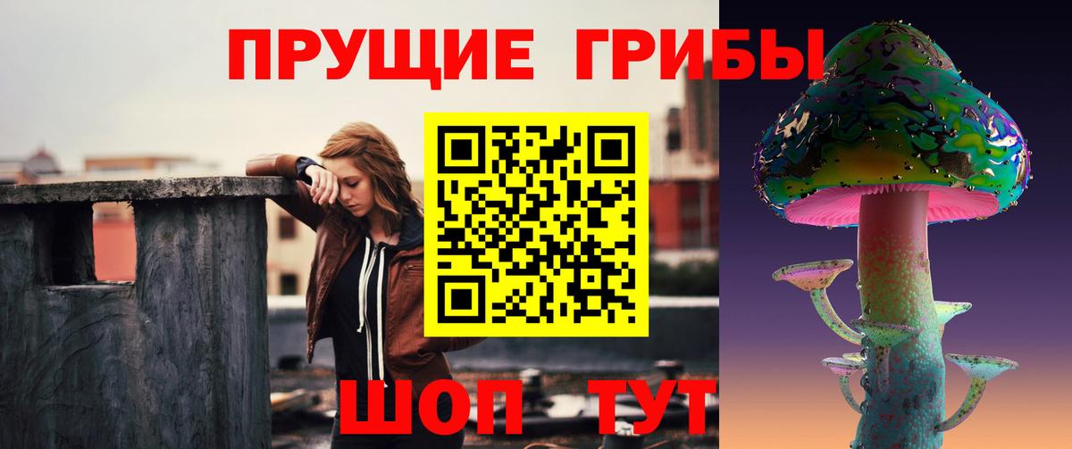 закладка  Галлюциногенные грибы мухоморы  Спасск-Дальний  Псилоцибиновые грибы Magic Shrooms 