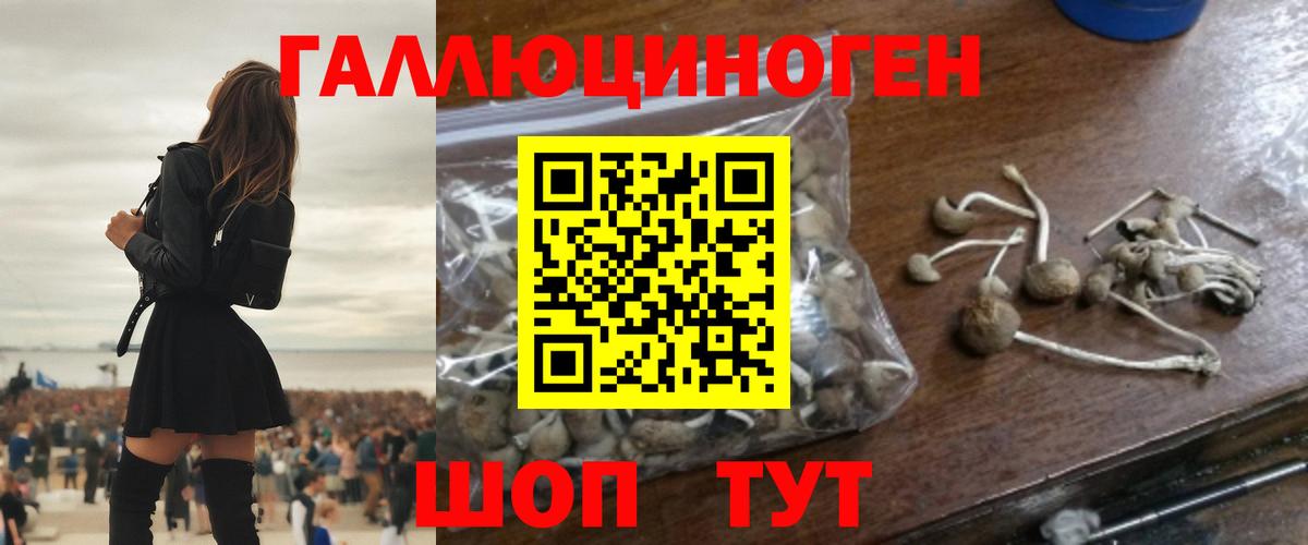 Псилоцибиновые грибы Cubensis Спасск-Дальний
